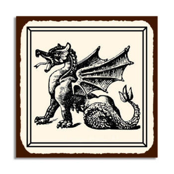 Dragon & Celtic Signs